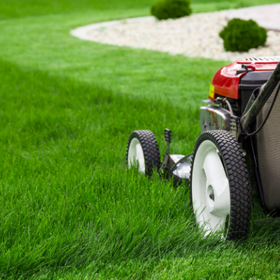 Lawn Mowing